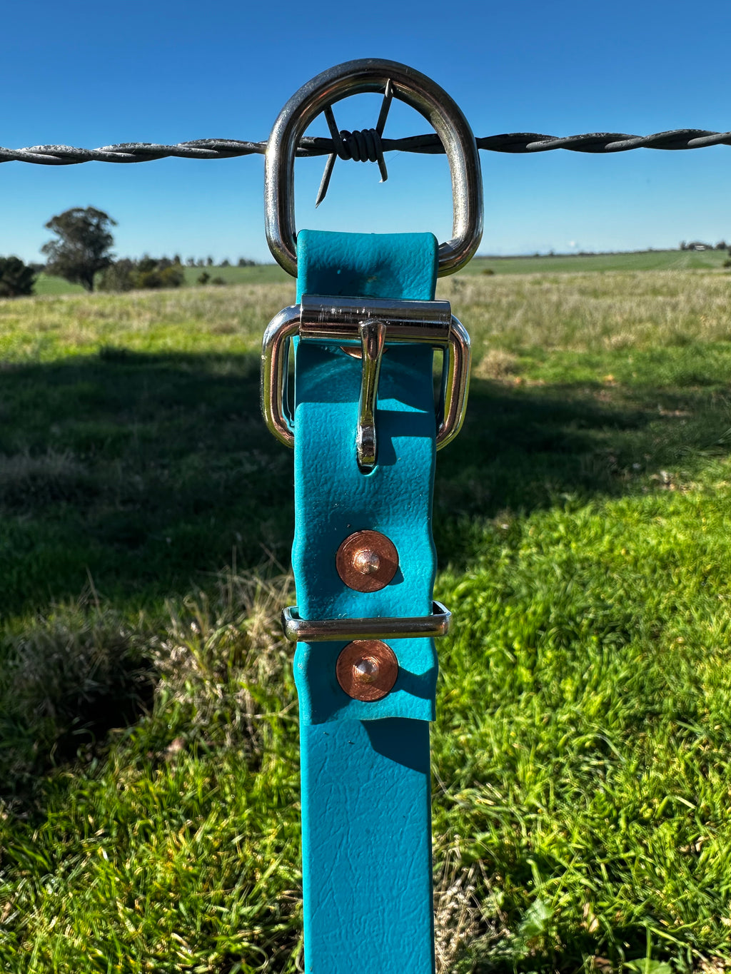 Tambo Collar (Skye blue)