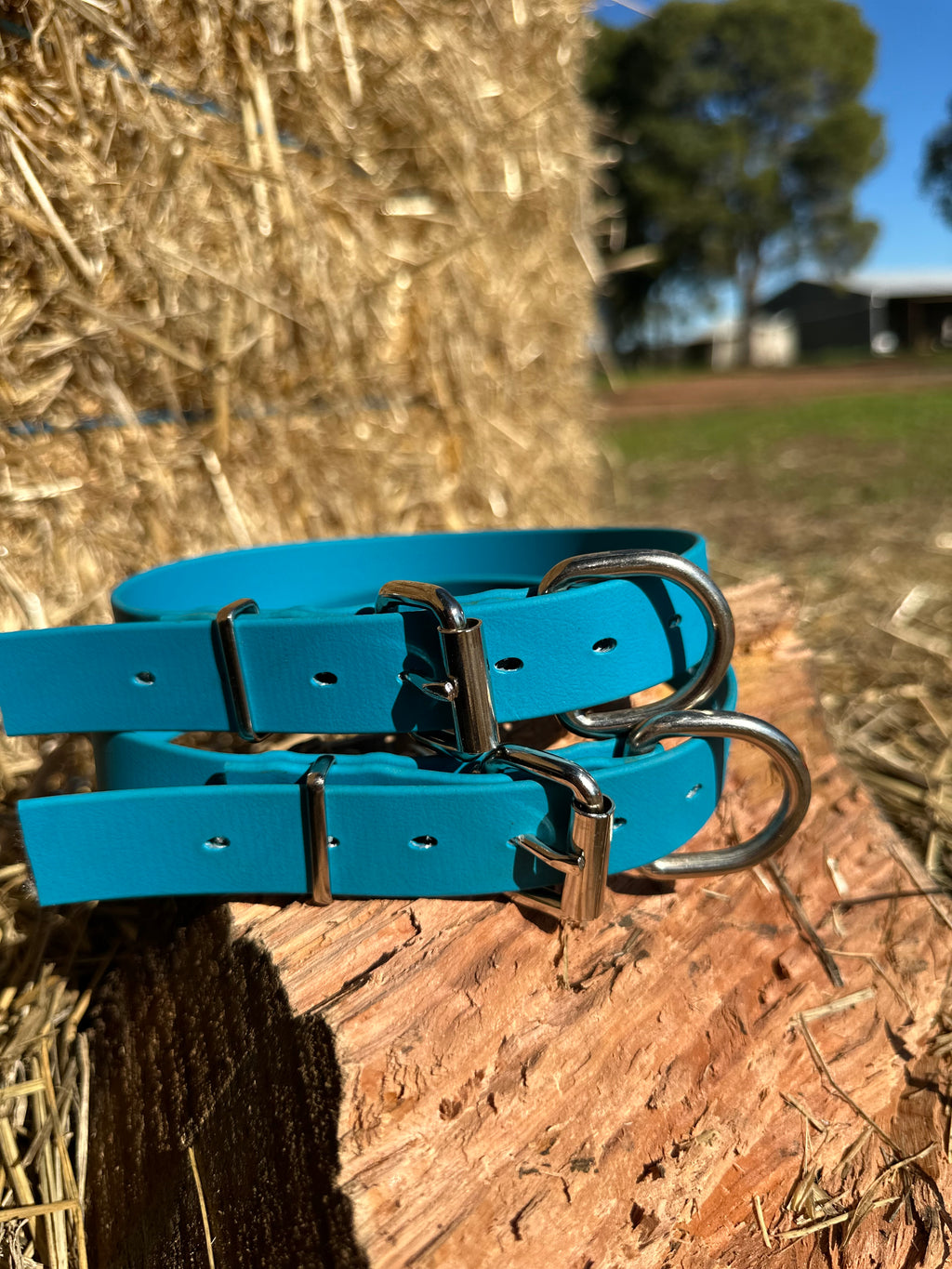 Tambo Collar (Skye blue)