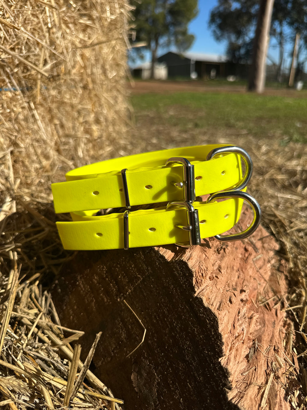 Honeysuckle Collar (fluro yellow)