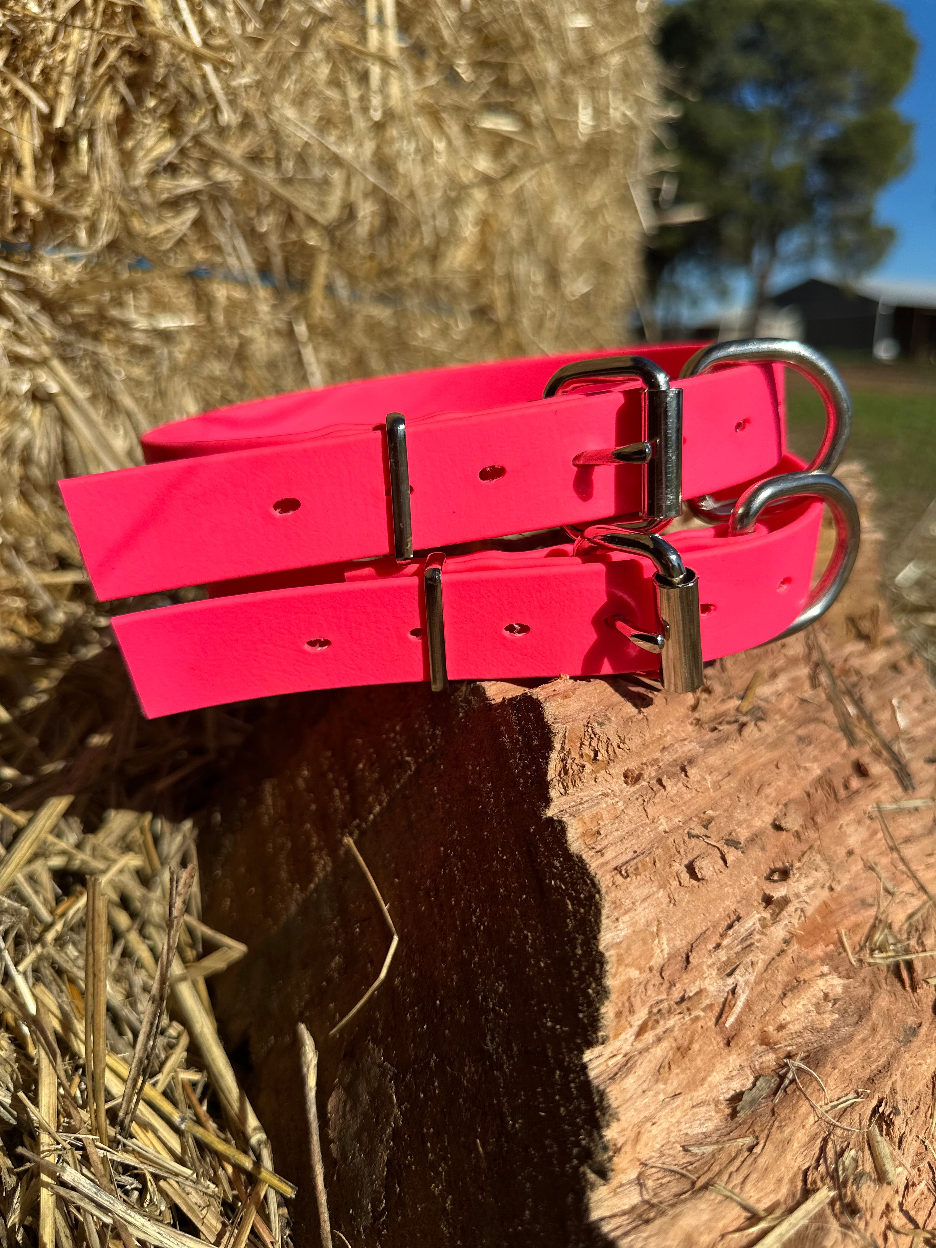 Sugarloaf Collar (fluro pink)
