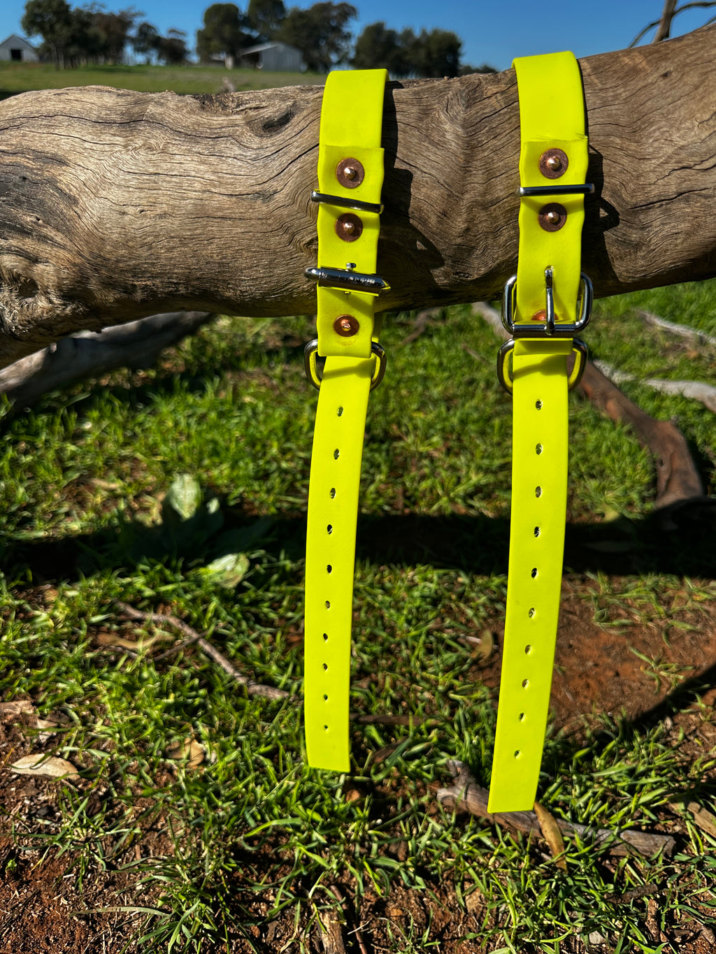 Honeysuckle Collar (fluro yellow)