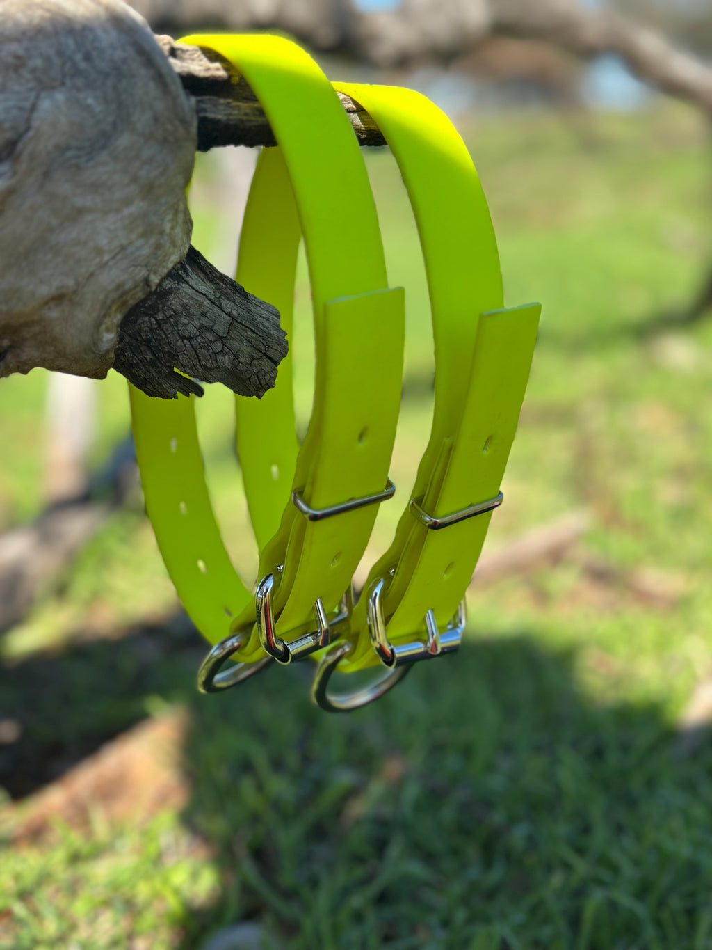 Honeysuckle Collar (fluro yellow)