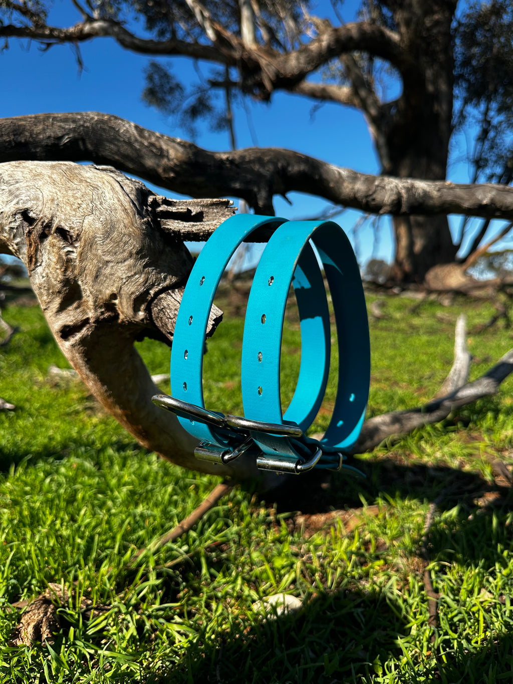 Tambo Collar (Skye blue)