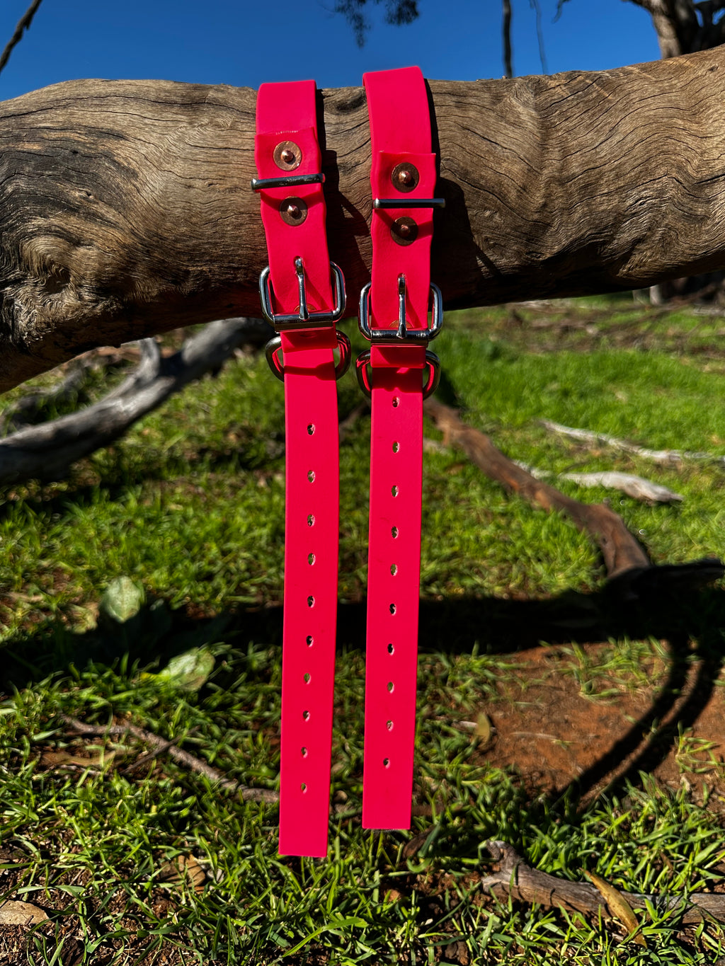 Sugarloaf Collar (fluro pink)