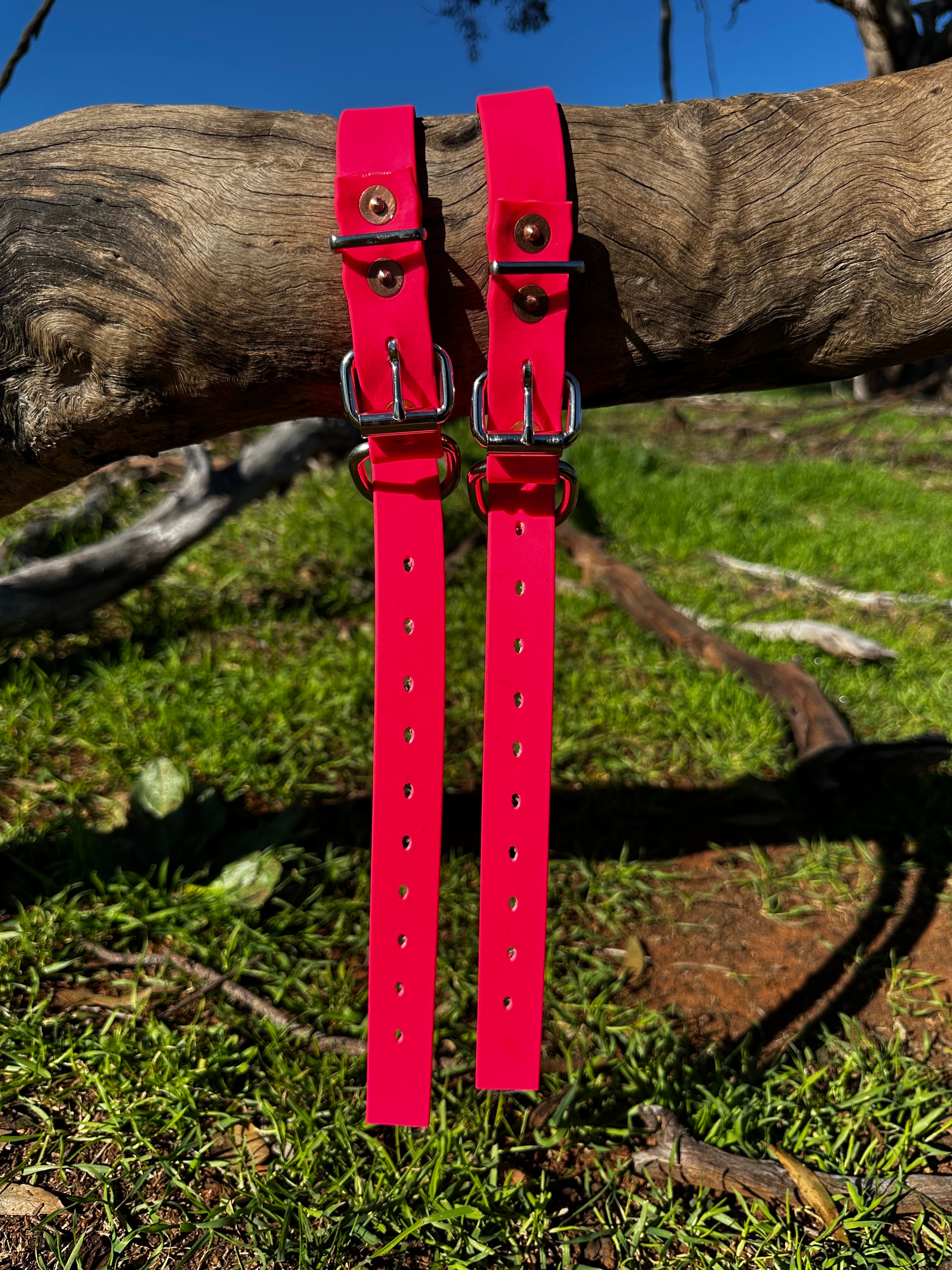 Sugarloaf Collar (fluro pink)