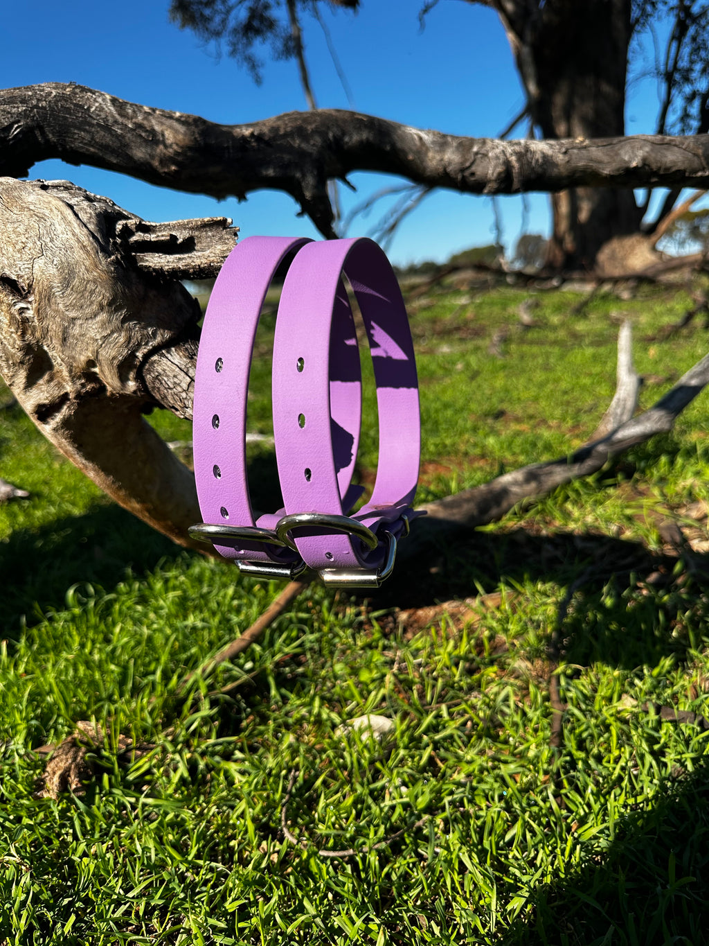 Pennywieght Collar (Purple)