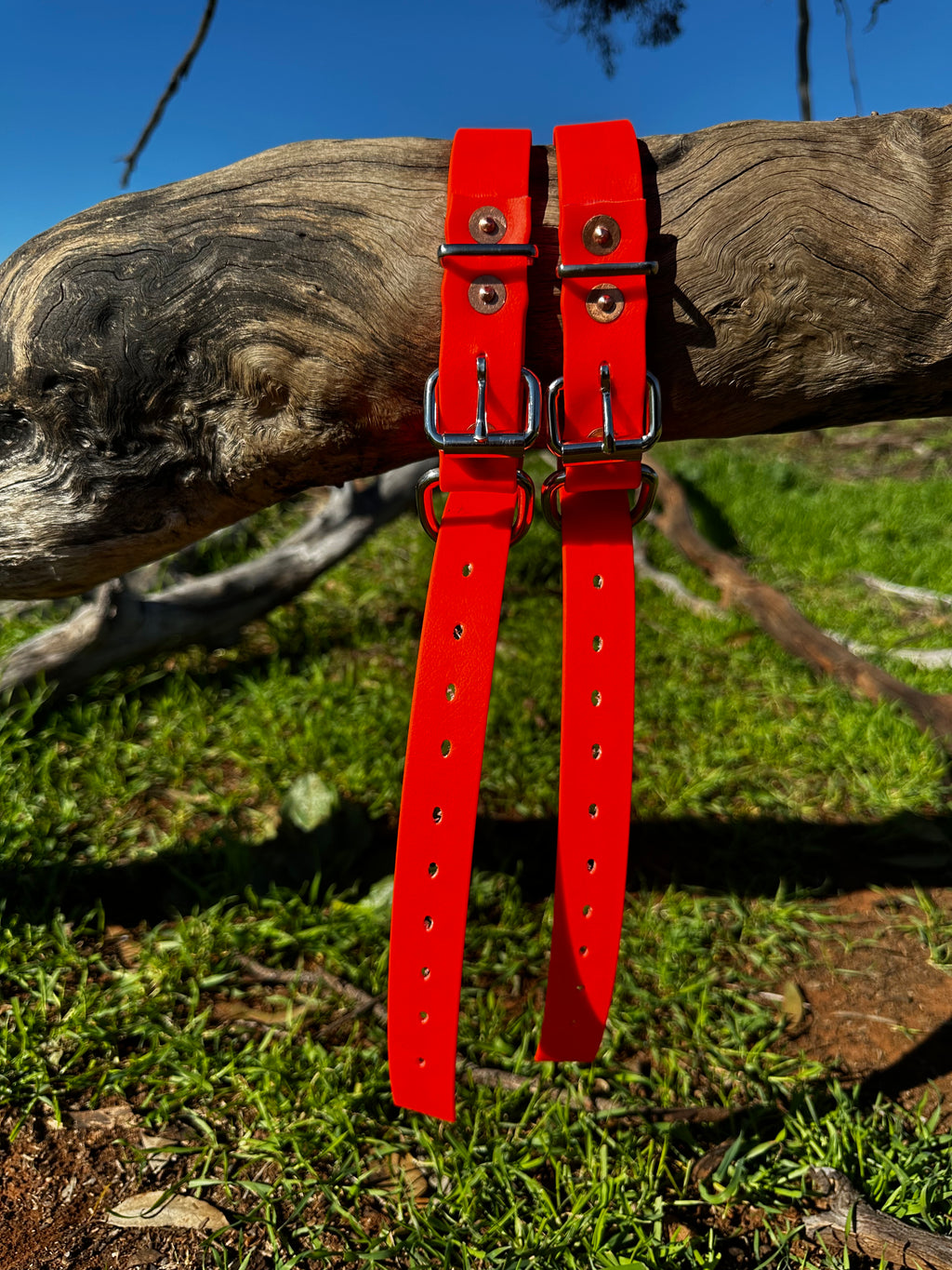 Whiskey Collar (fluro orange)