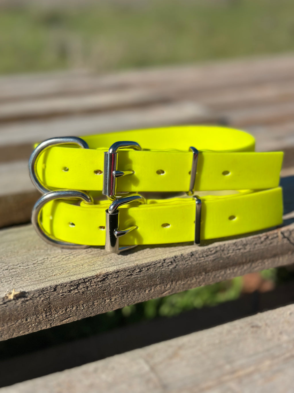 Honeysuckle Collar (fluro yellow)