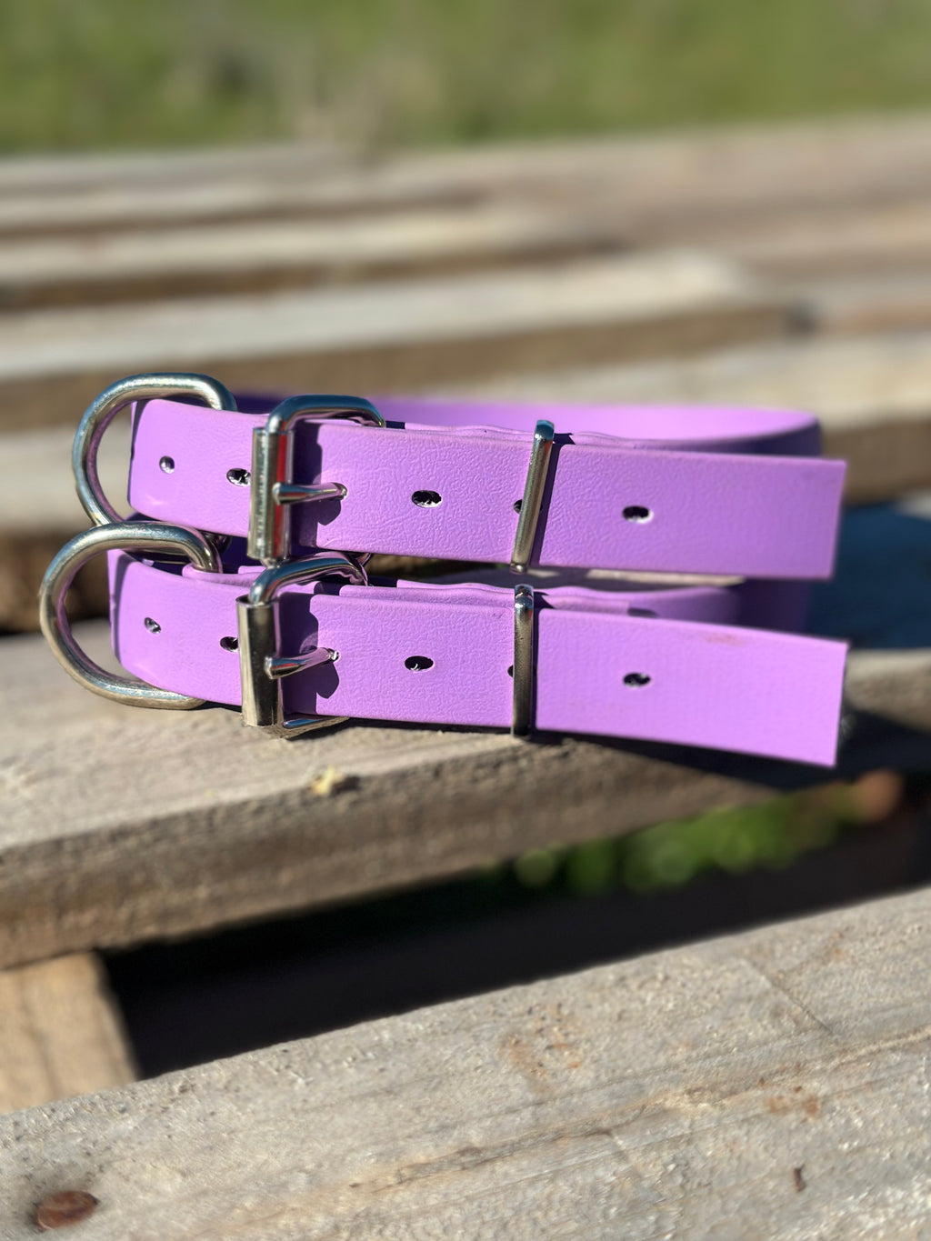 Pennywieght Collar (Purple)