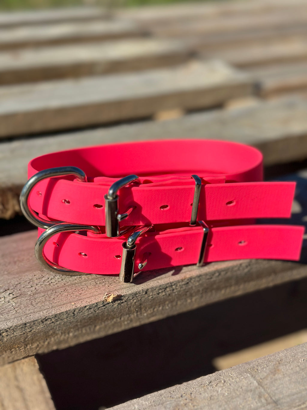 Sugarloaf Collar (fluro pink)