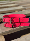 Sugarloaf Collar (fluro pink)