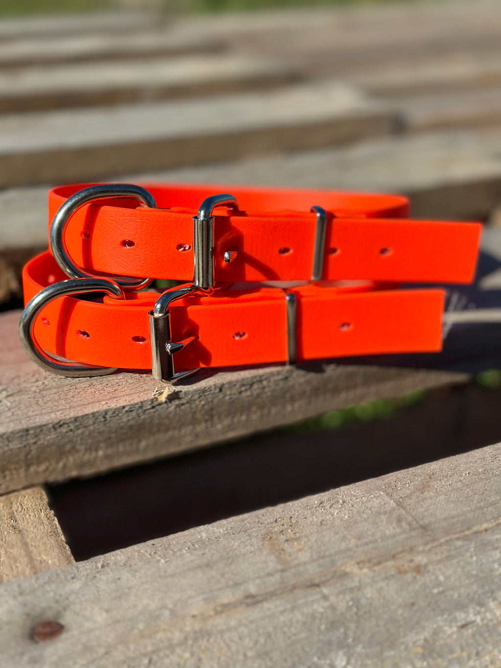 Whiskey Collar (fluro orange)
